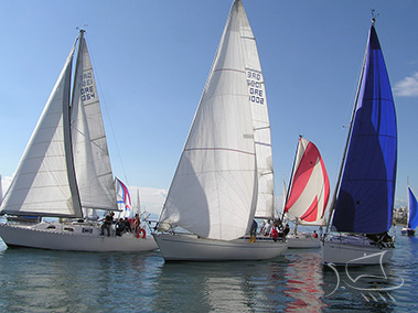 sailingkalmi